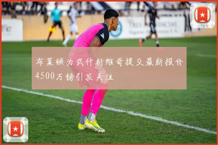 布莱顿为武什科维奇提交最新报价4500万镑引发关注
